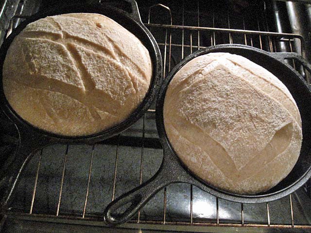 Country Bread With Fresh Milled Flours The Fresh Loaf